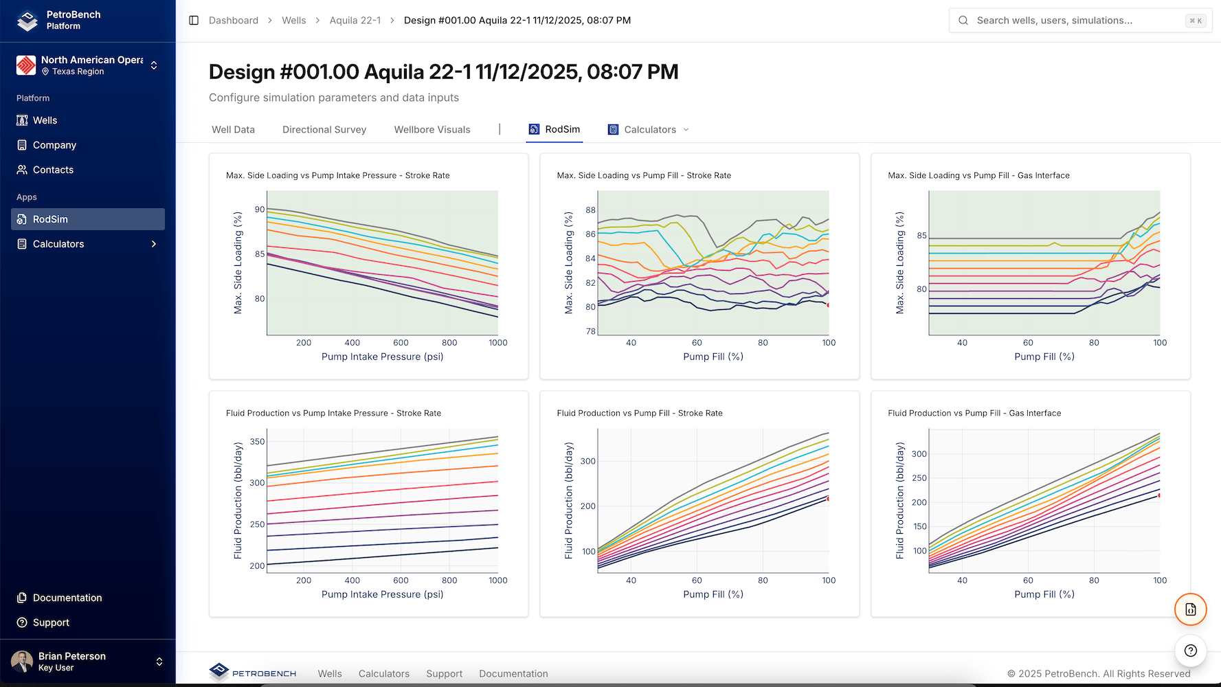 RodSim Dynamics Simulation Dashboard - Parallel Processing Interface