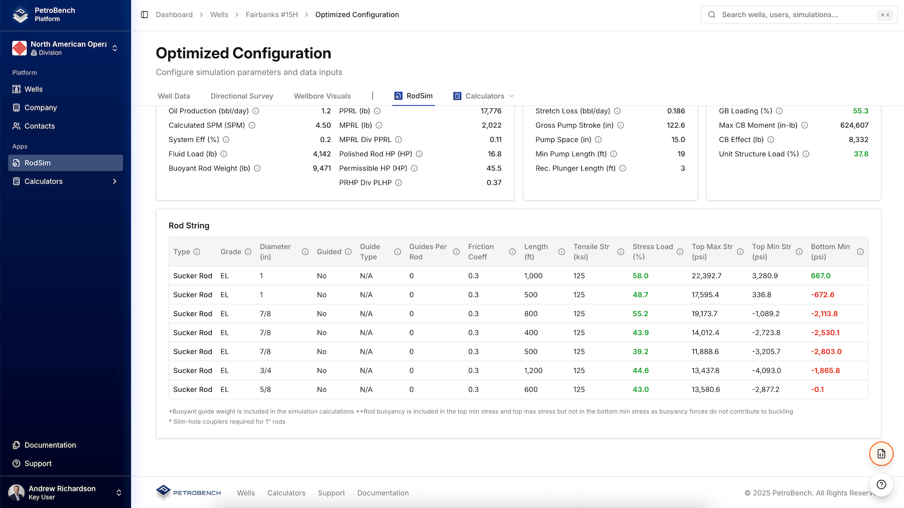 RodSim Simulation Output